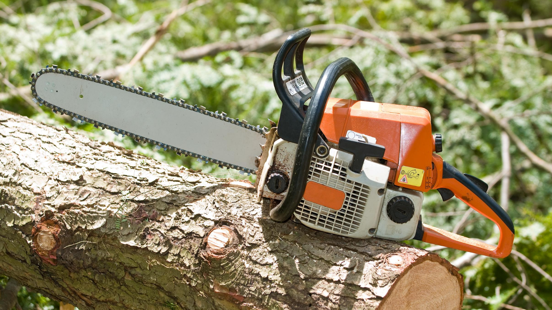 24 hour emergency tree care