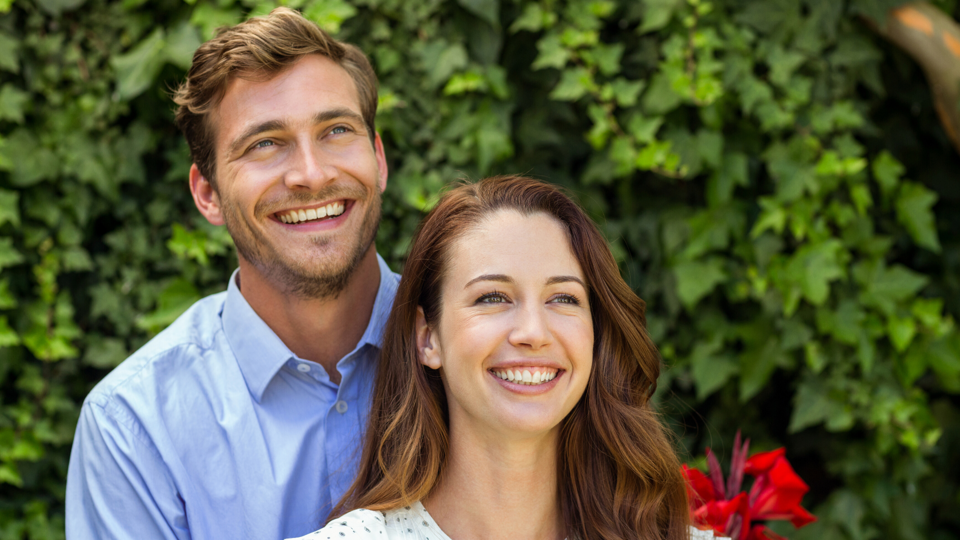 tree removal maplewood mn