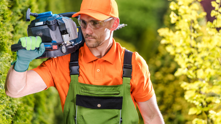 Tree Service Maplewood MN | Tree Removal | Tree Trimming