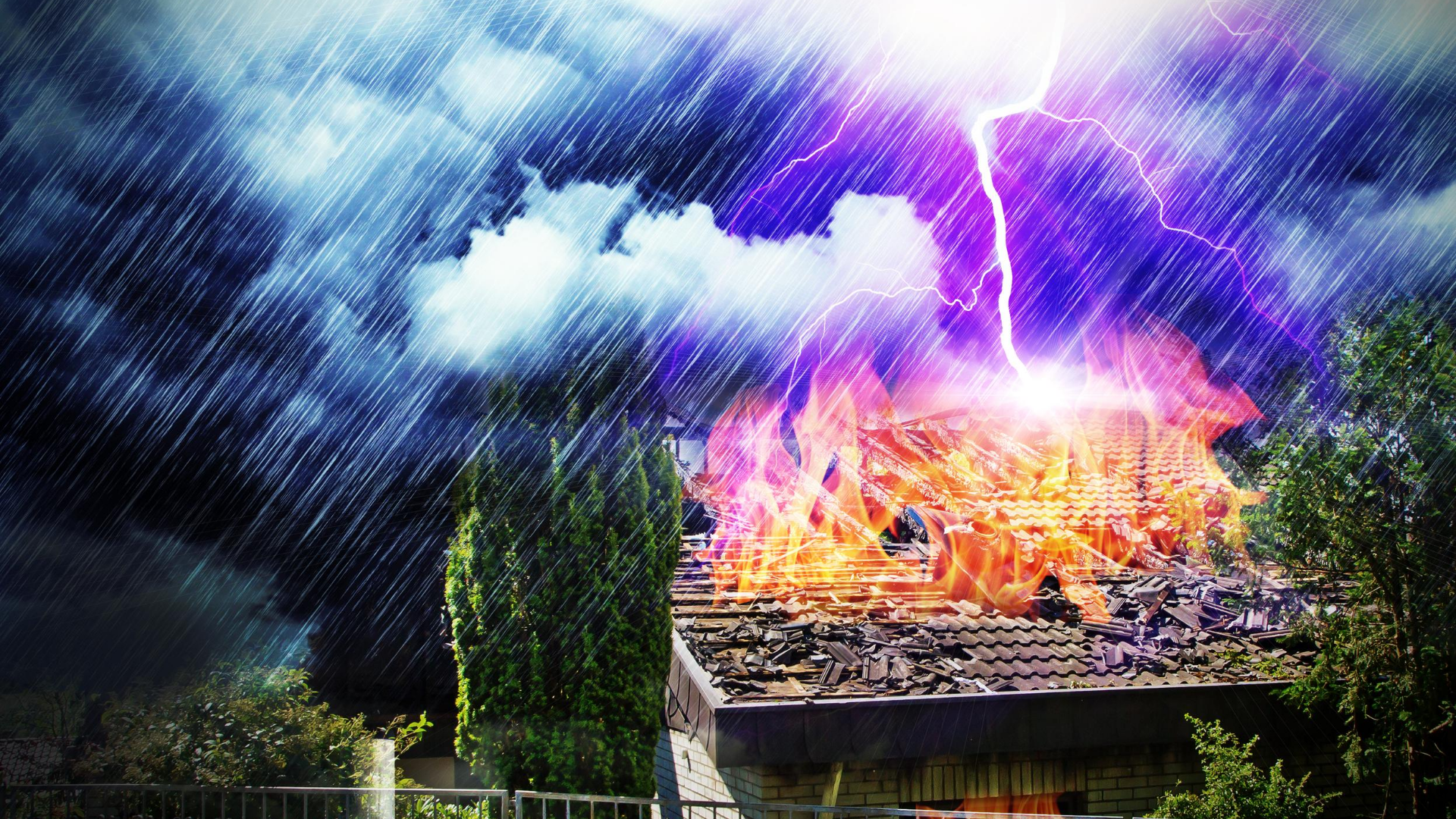 debris removal maplewood