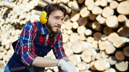 Tree Service Maplewood MN | Tree Removal | Tree Trimming