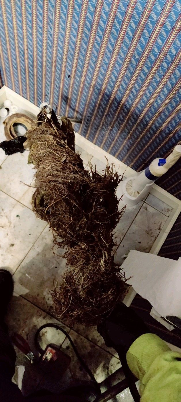 Plumbing Company Denver, CO