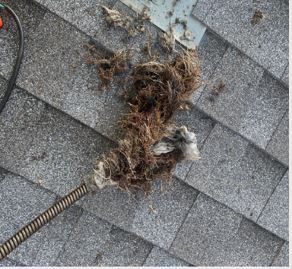 Drain on a Roof With a Hose Attached — Englewood, CO — Mile High Drain