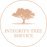 Tree Services in Roanoke, VA | Integrity Tree Service