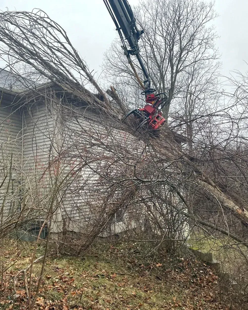 A crane is cutting a tree branch in front of a brick building.