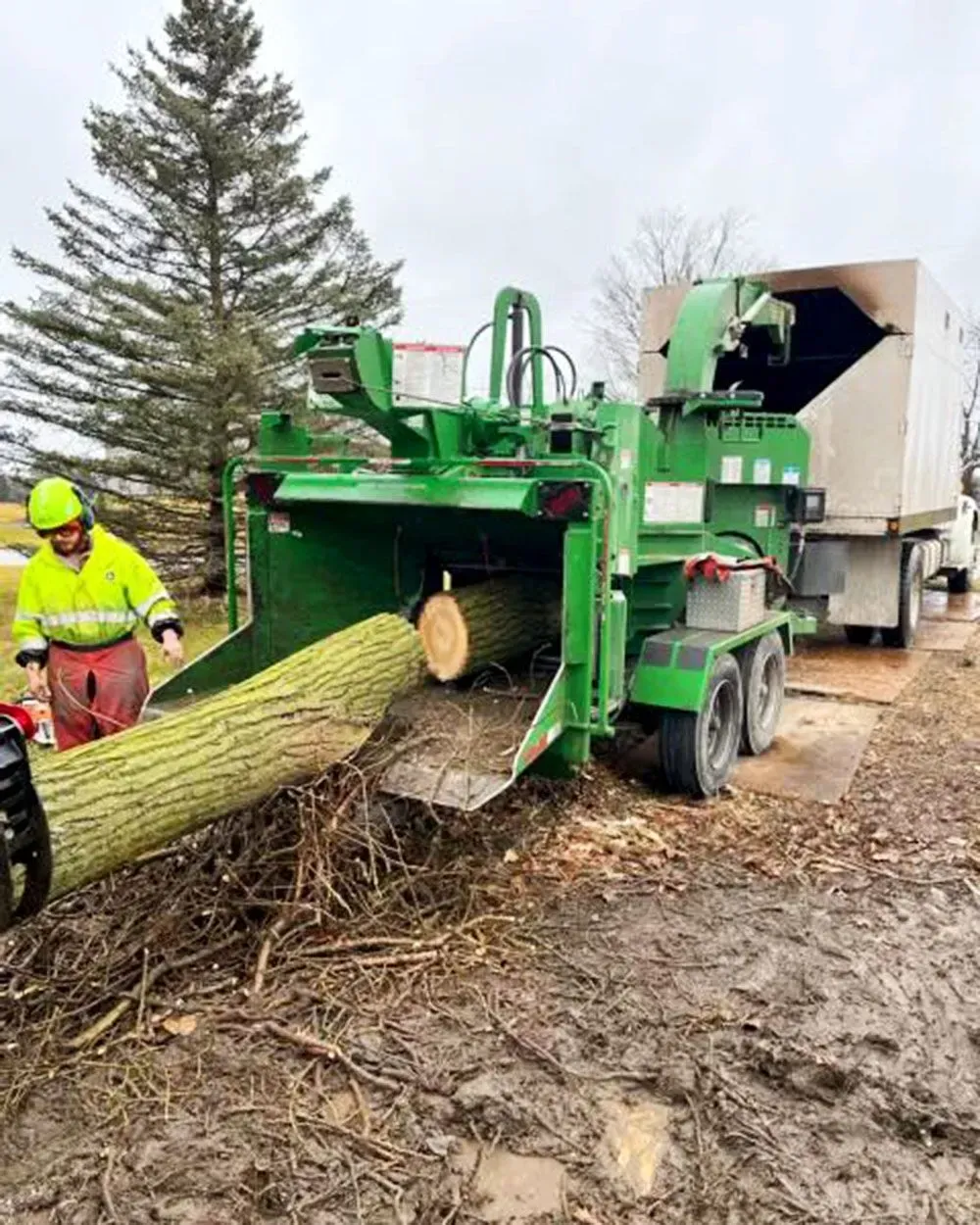 A man is standing next to a green machine that is cutting a tree.