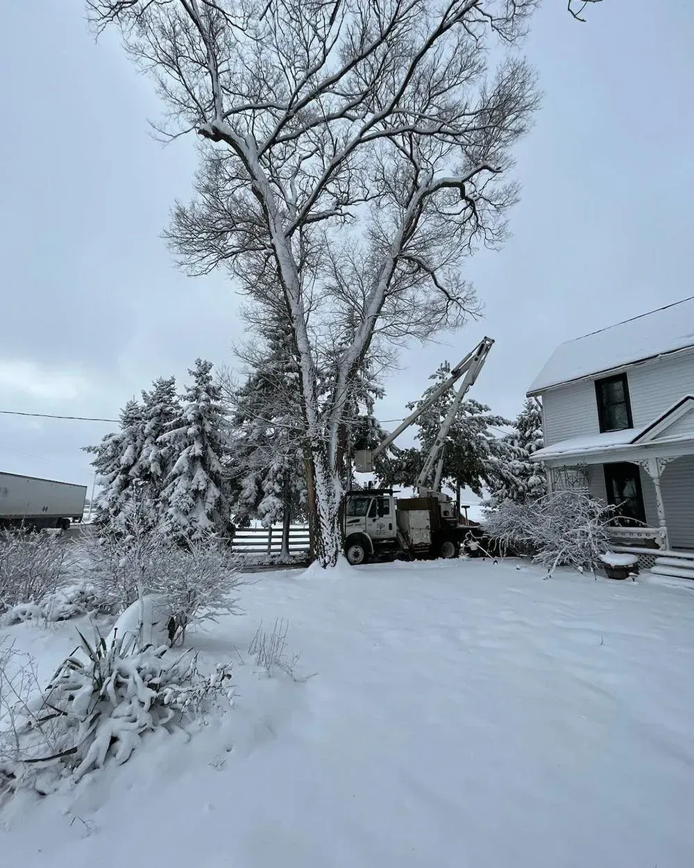 A snowy yard with a truck parked in front of a house.