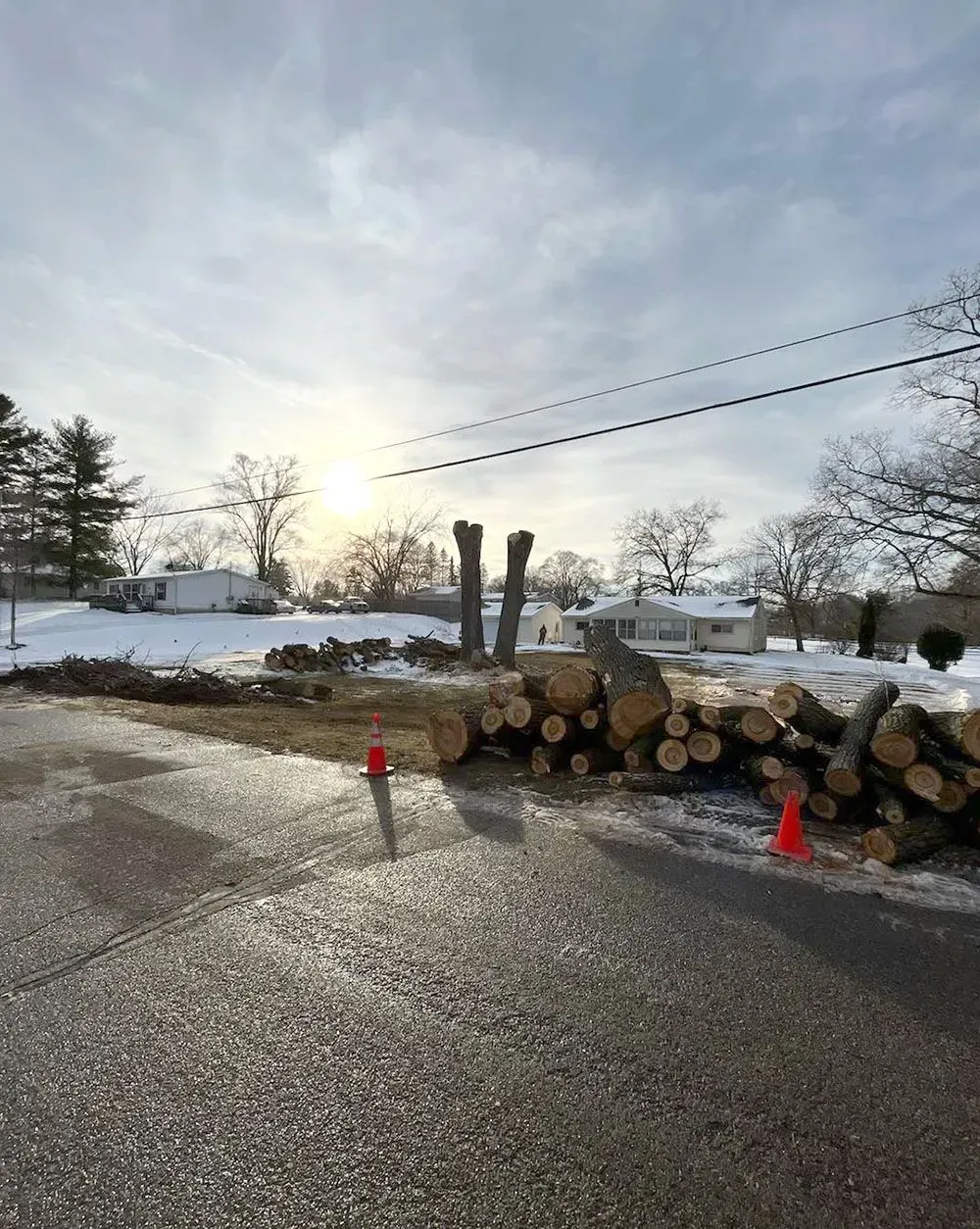 A pile of logs is sitting on the side of a road.