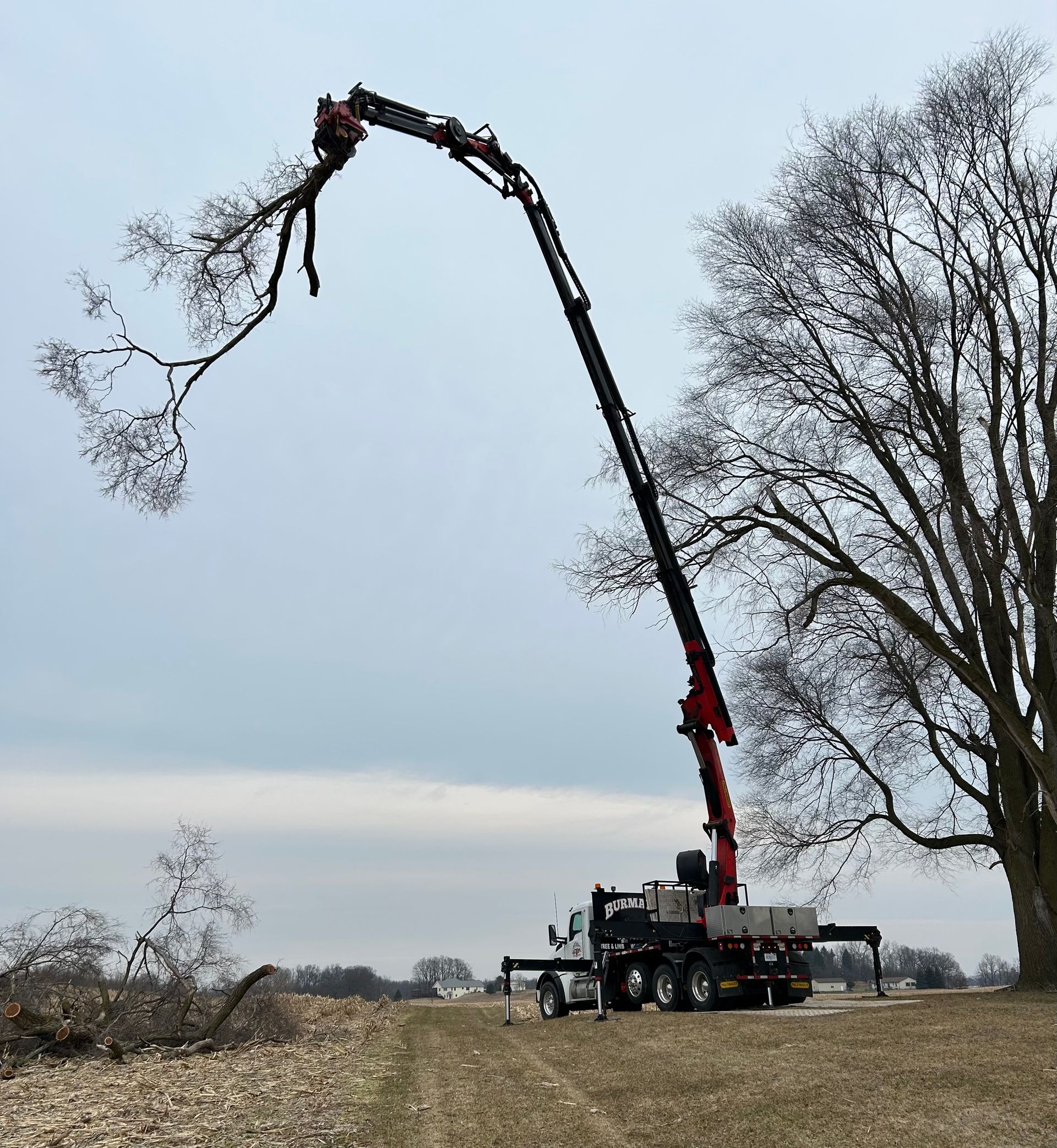 A crane is lifting a tree branch in a field