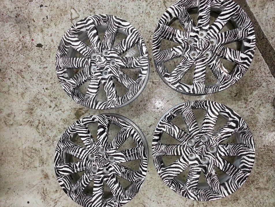 Four wheels with a zebra print on them are sitting on a cement floor.