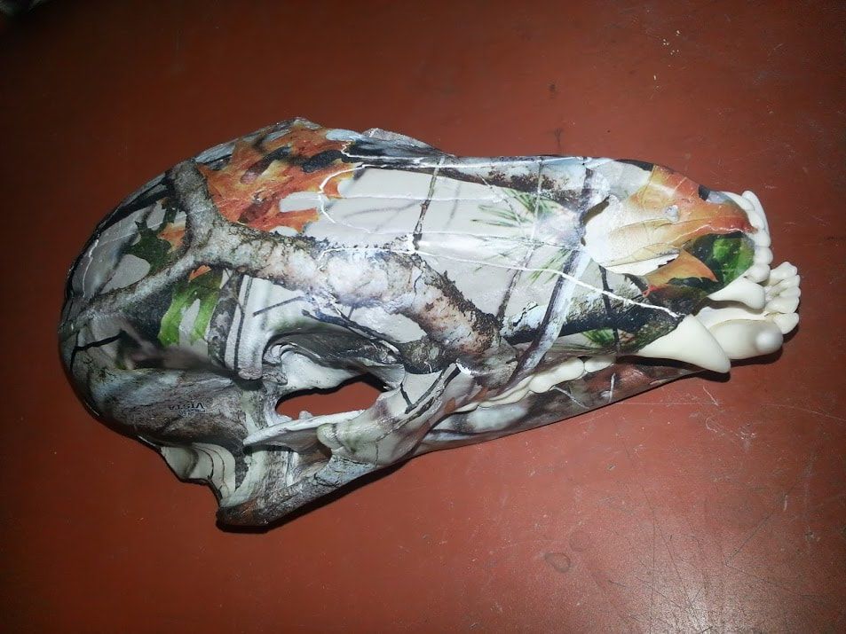 A skull with a camouflage pattern on it