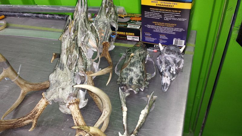 A bunch of deer antlers are sitting on a table.