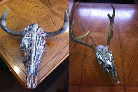 A deer skull is hanging on a wooden table.