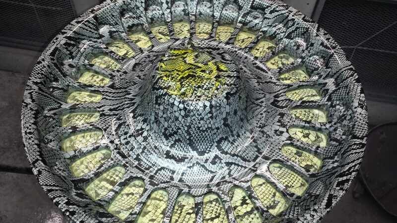 A bowl with a snake print on it is sitting on a table.