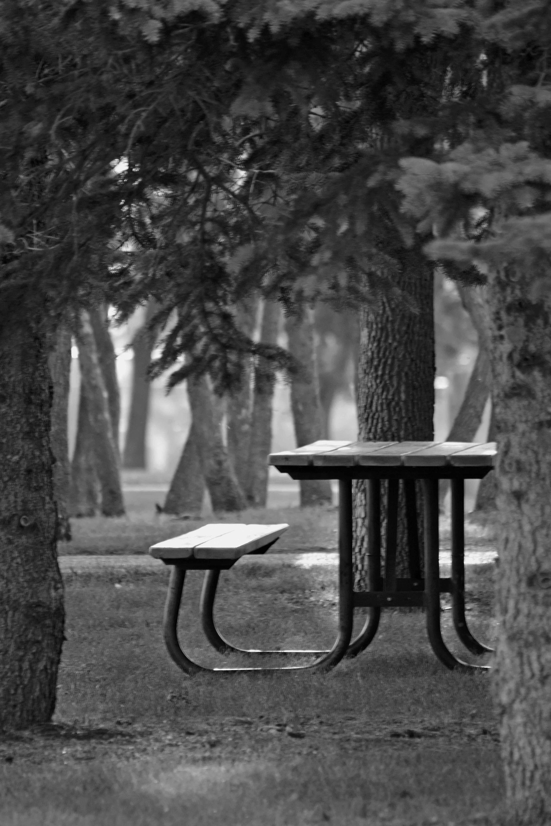A black and white photo of a picnic table in a park