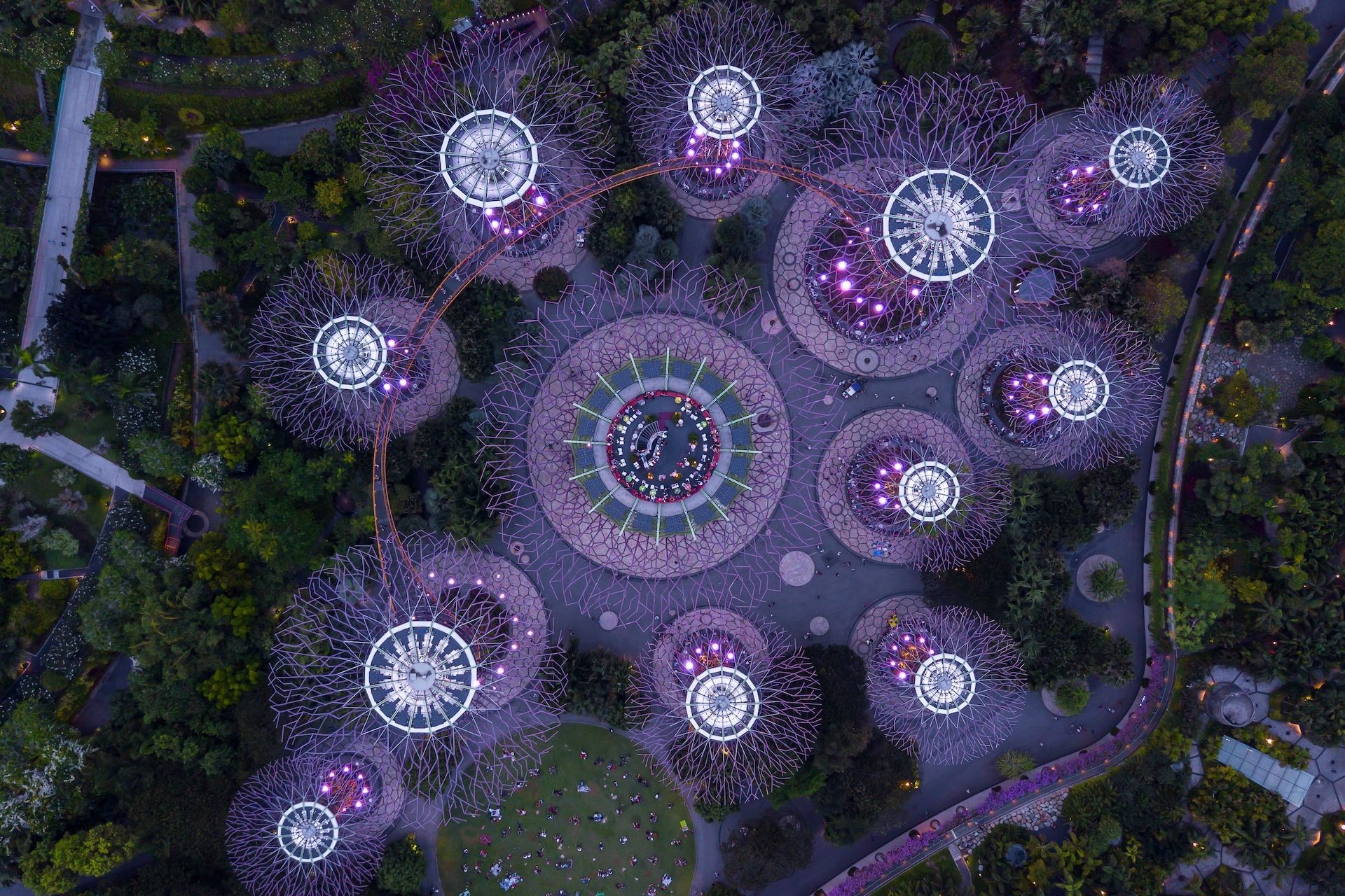 Aerial view of illuminated Supertree Grove in Gardens by the Bay, Singapore, with purple and white lights.