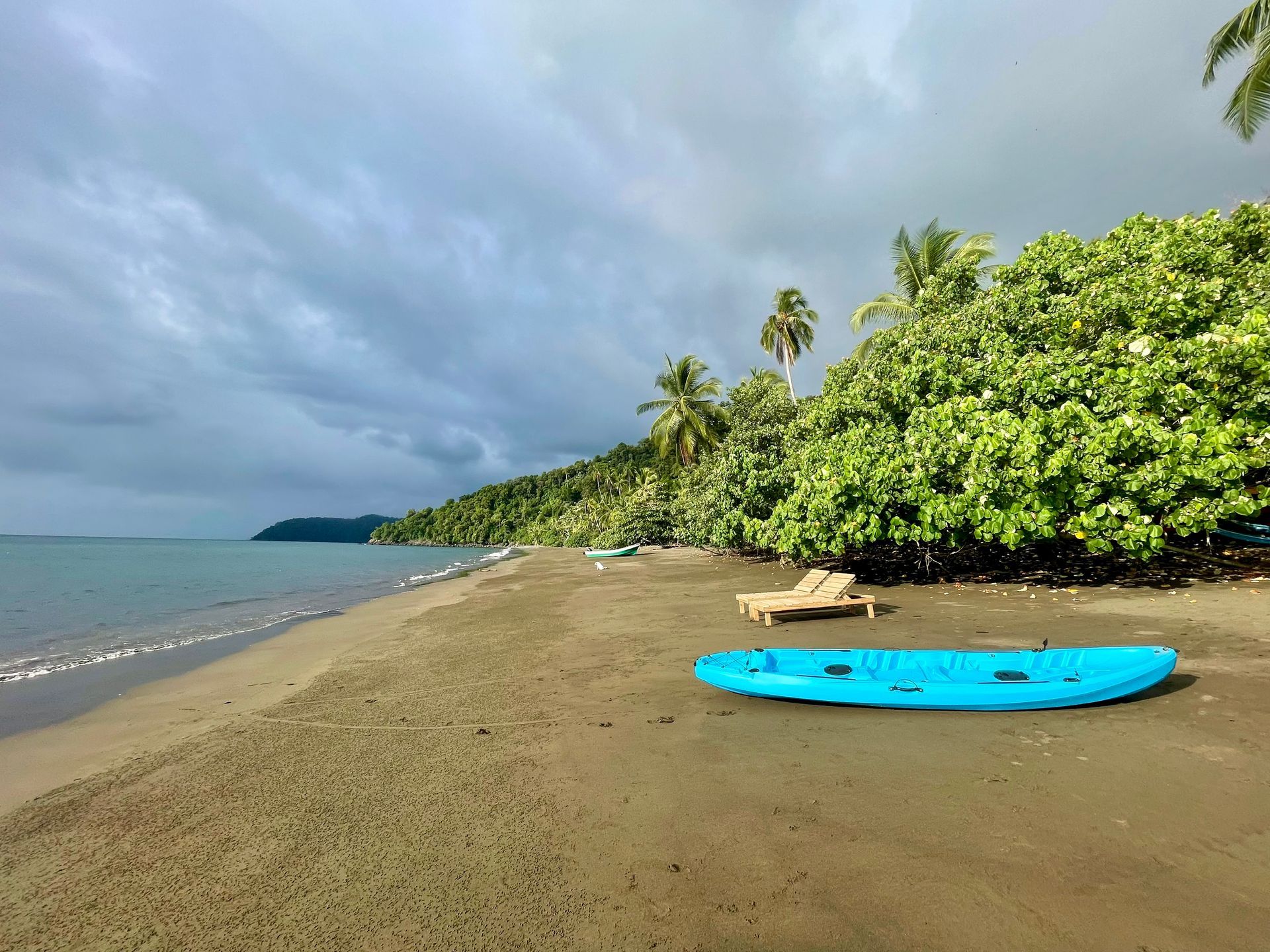 Nighttime view of a pathway lined with bushes leading to a white building, surrounded by lush green foliage.