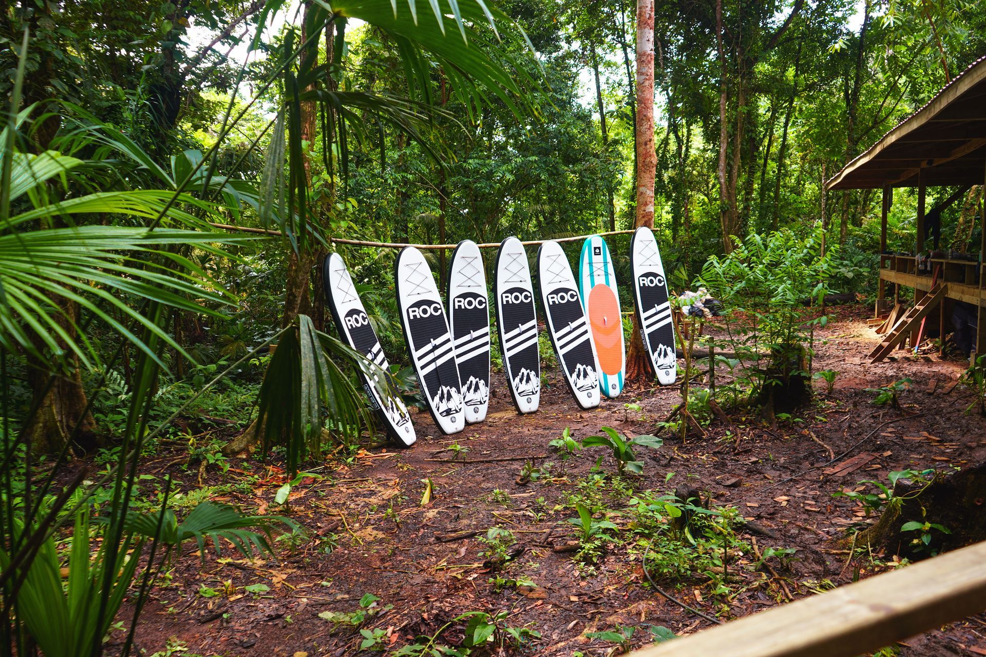 Surfboards leaning on a wooden rack in a lush jungle setting, near a wooden structure.