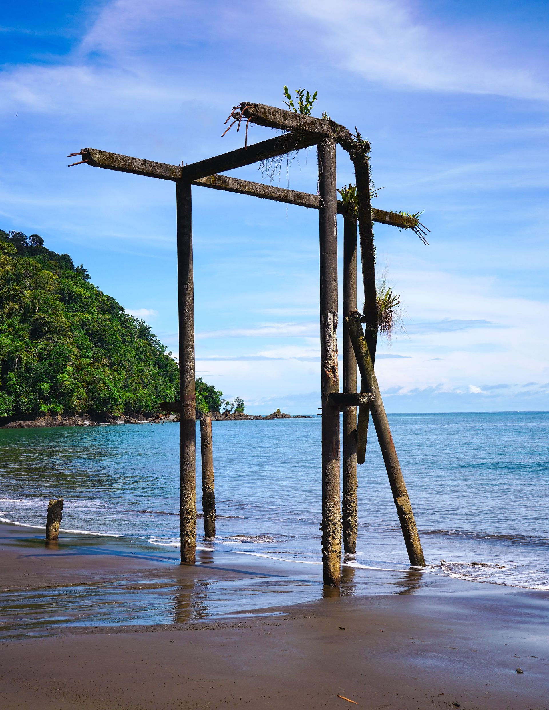 Hotel room with two beds, brick walls, desk, TV, and decorative plants.