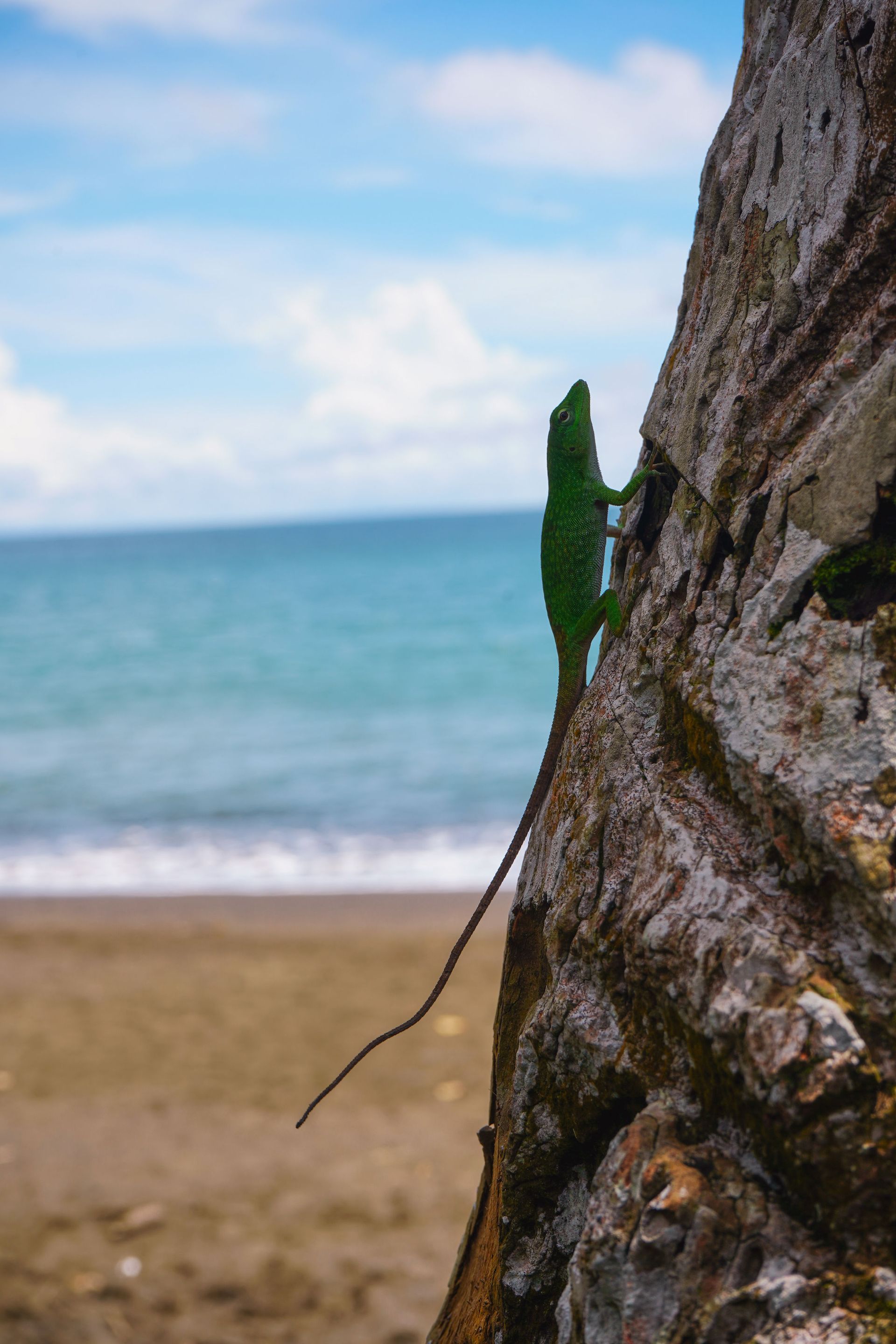 White building with red-framed windows and a pink door. Cobblestone path, green lawn, sunset.