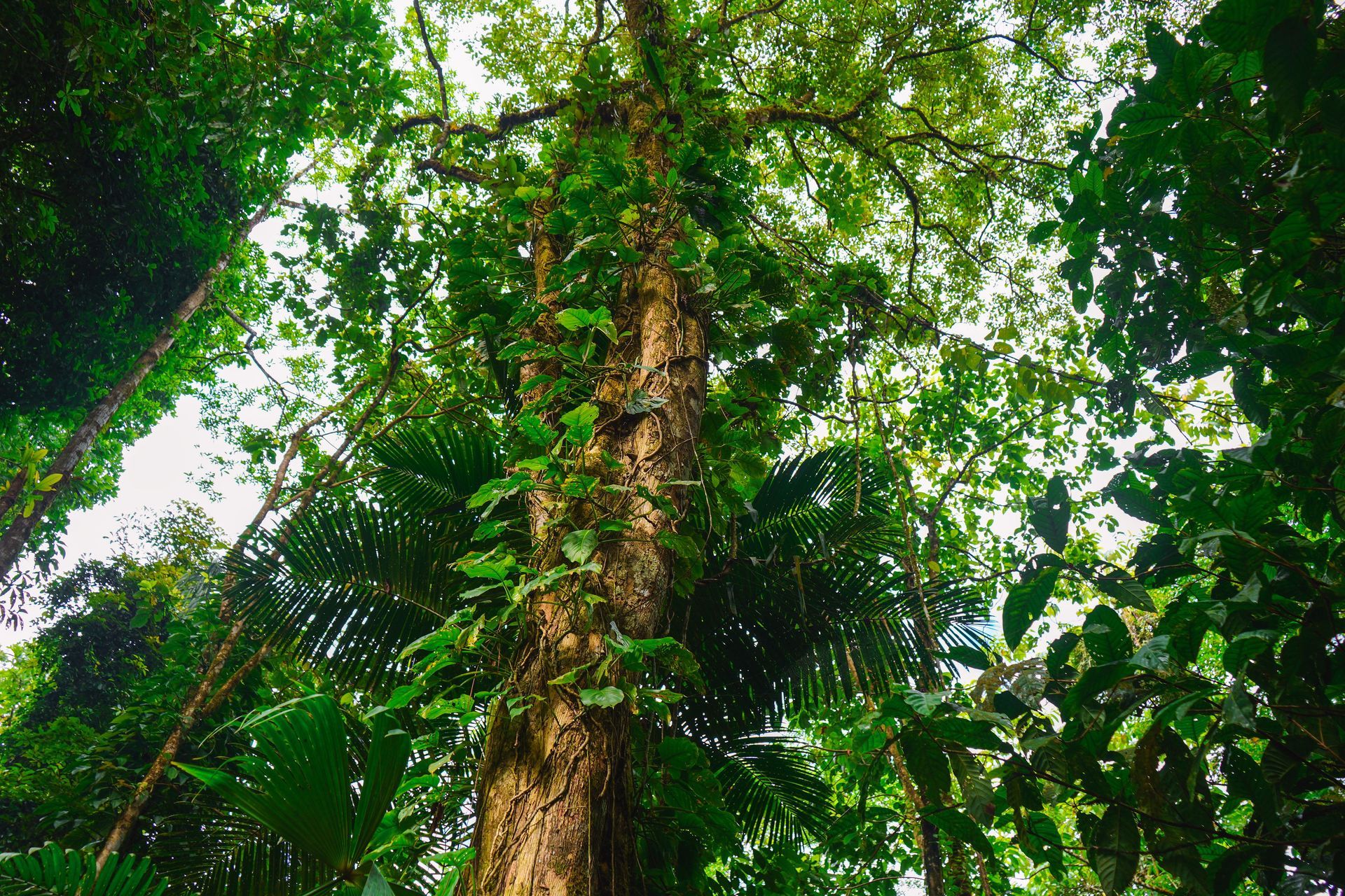 Two beds in a white room with art prints. Black and pink pillows on white bedding.