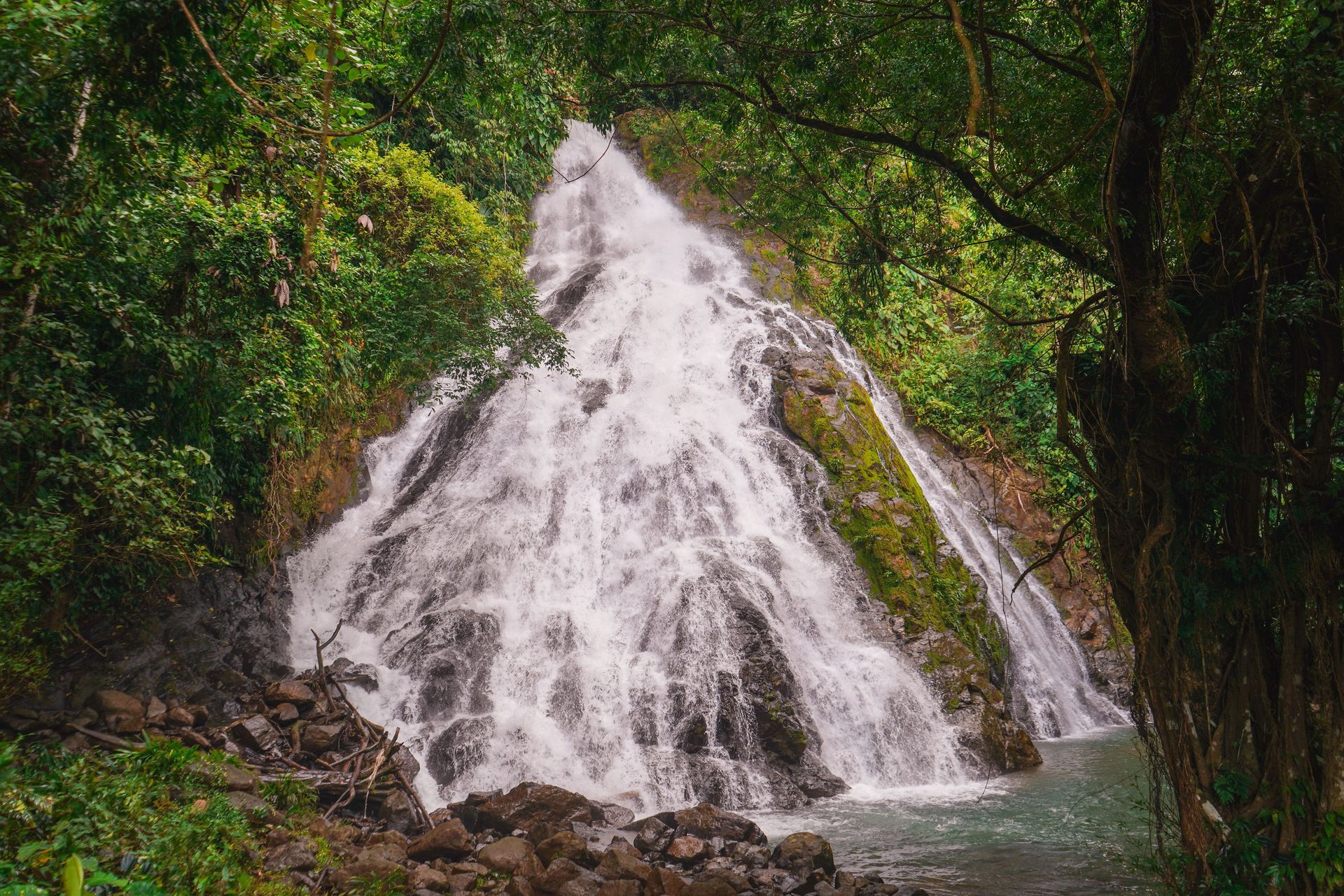 Waterfall cascading down rocky terrain, surrounded by lush green foliage.