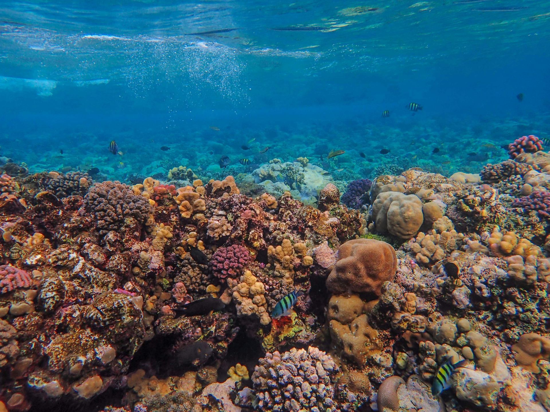 Small tropical island in turquoise water, under a blue sky with clouds. Boat docked near shore.