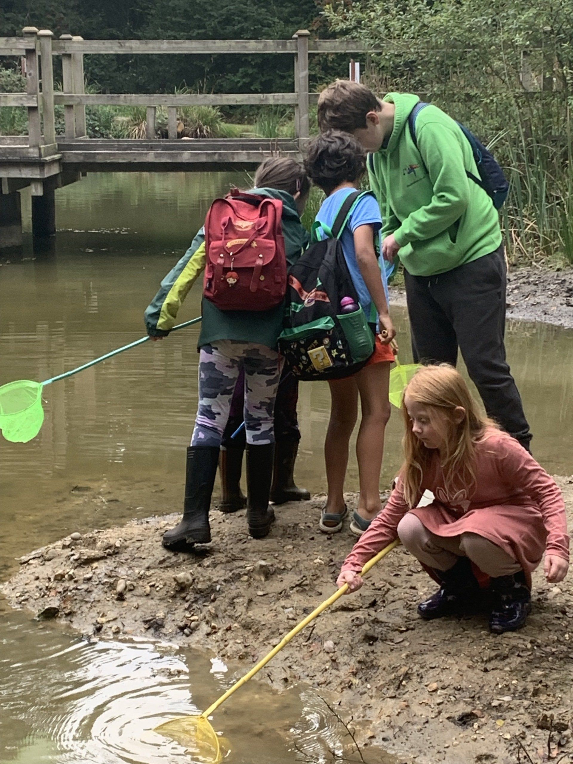 Pond dipping  with Life's Little Bugs Go Wild