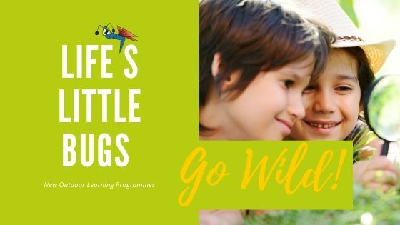 Introduction to Life's Little Bugs new outdoor learning programme