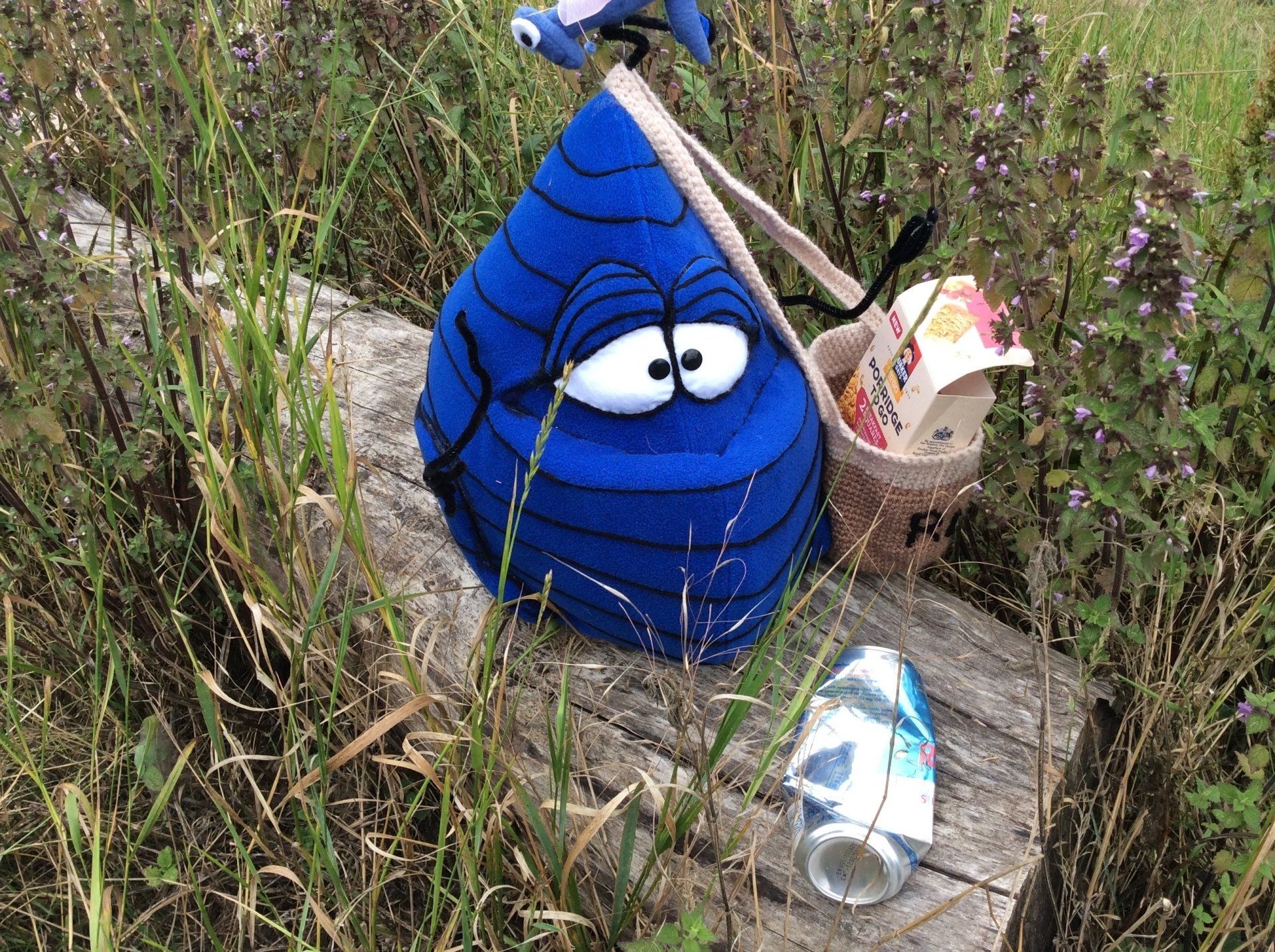 Litter Picking with Litter Bug