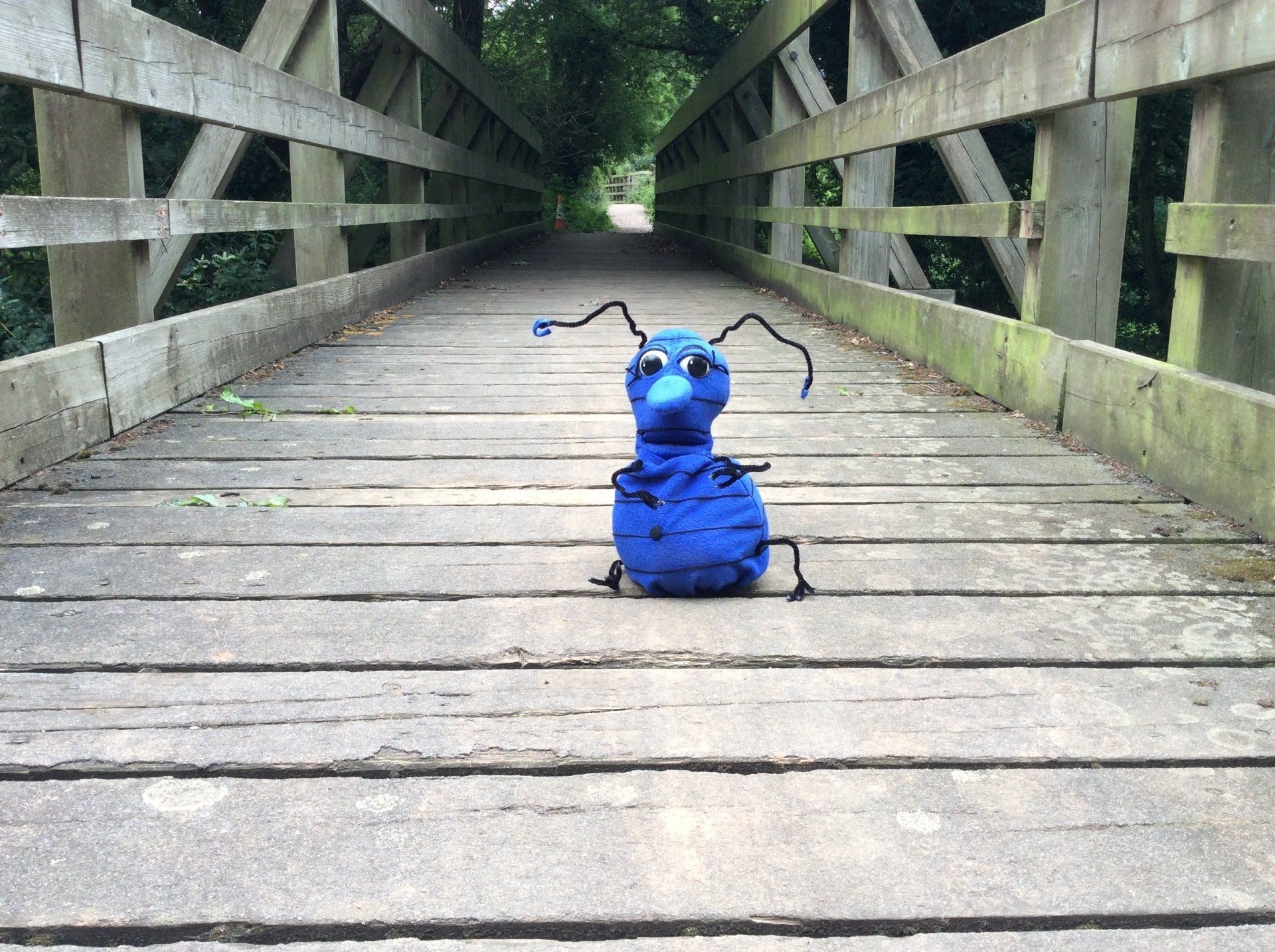 Hum Bug meditating on a bridge