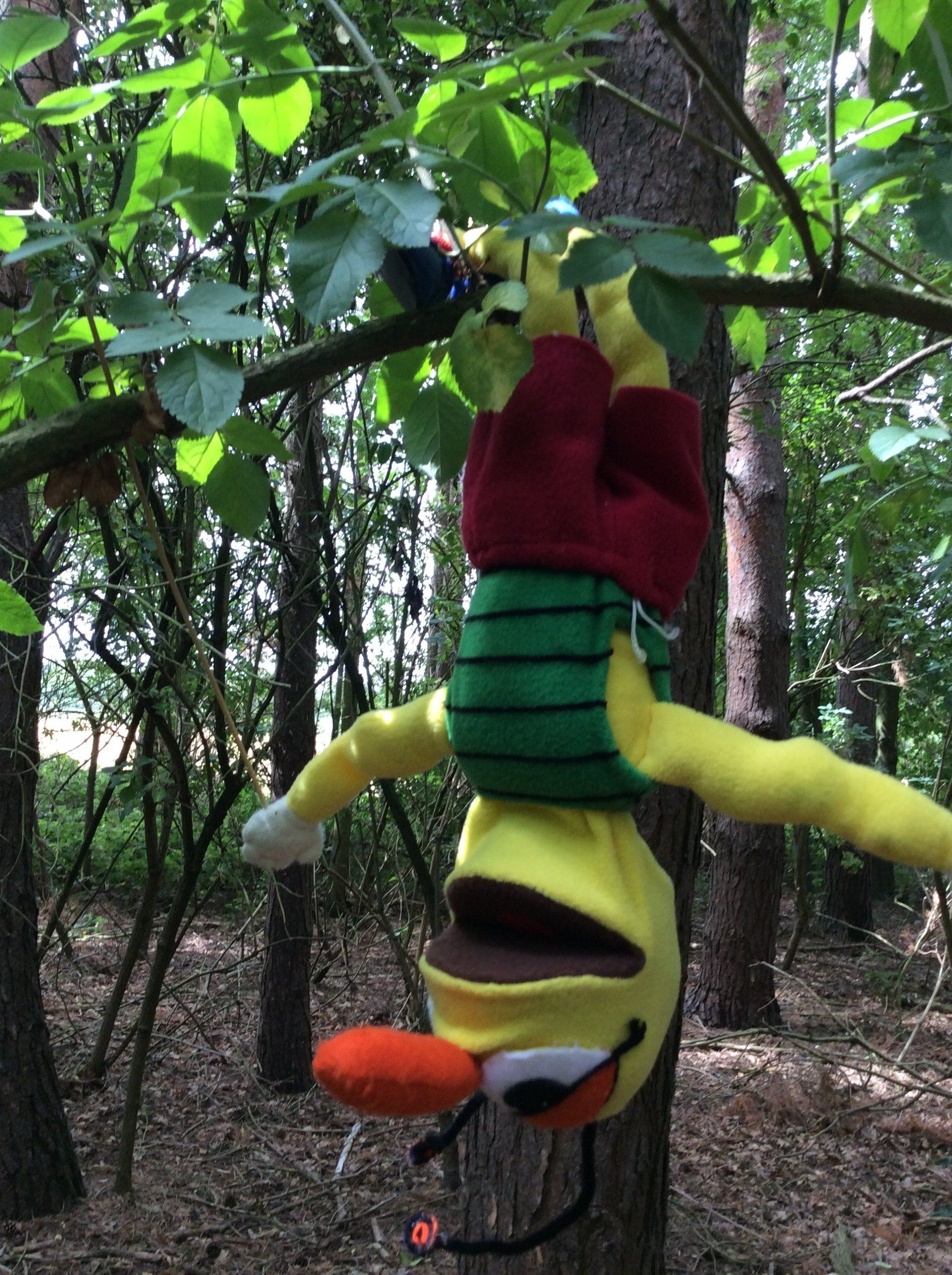 Fitness Bug hanging upside down in a tree