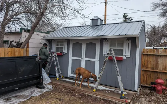 A man and a dog are standing in front of a shed.