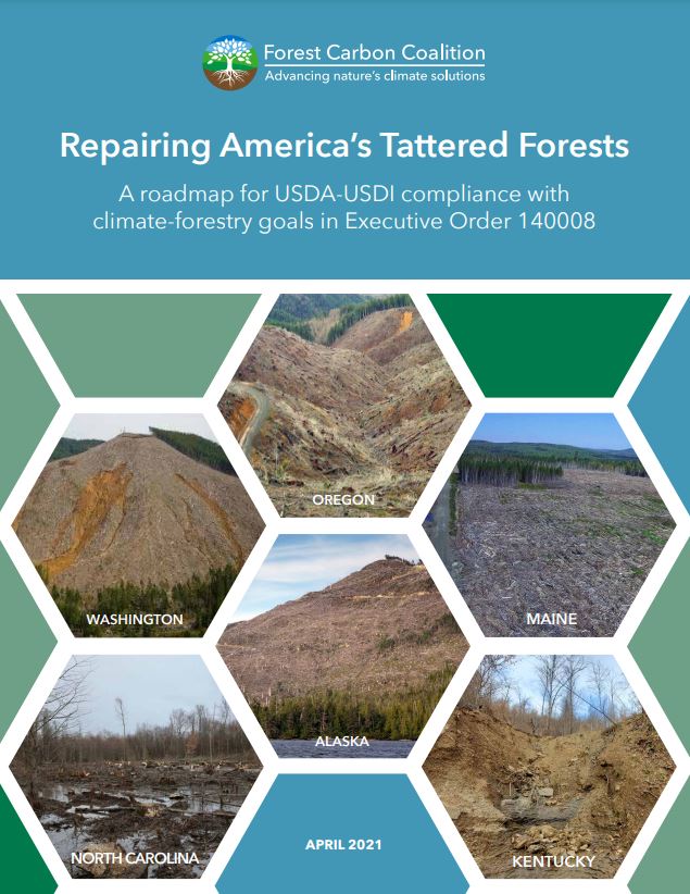 Repairing America’s Tattered Forests: A Roadmap for USDA-USDI Compliance with Executive Order 140008
