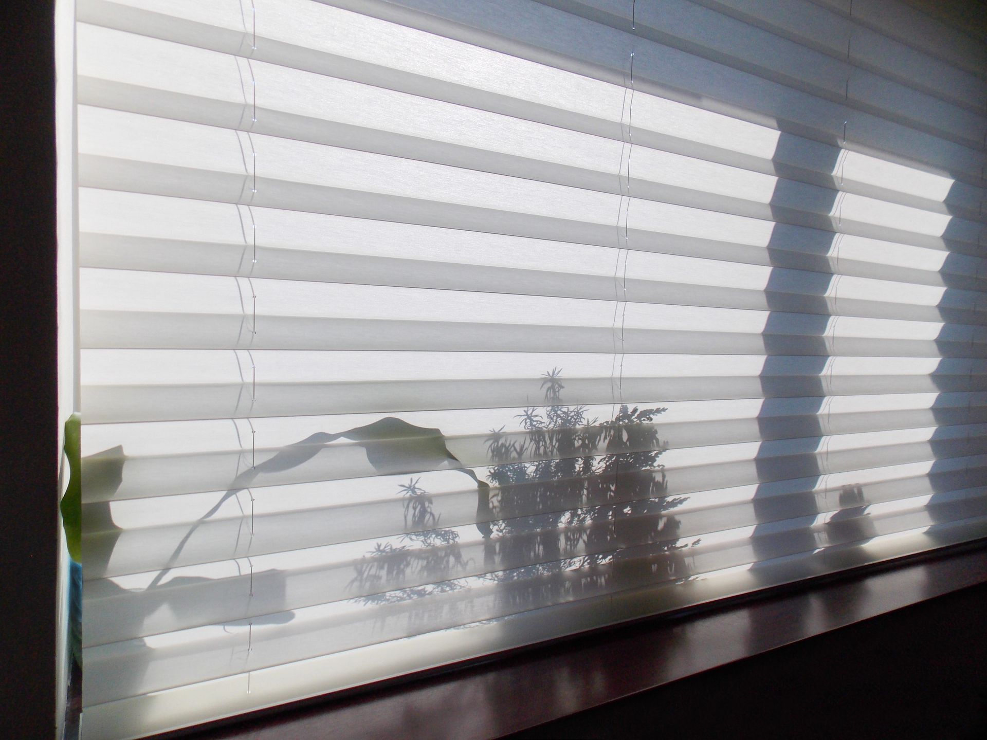 White pleated window blinds.