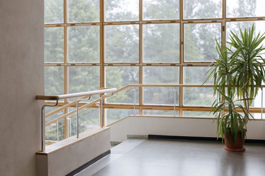Bright hallway with large grid windows, metal railing, and a tall potted plant.