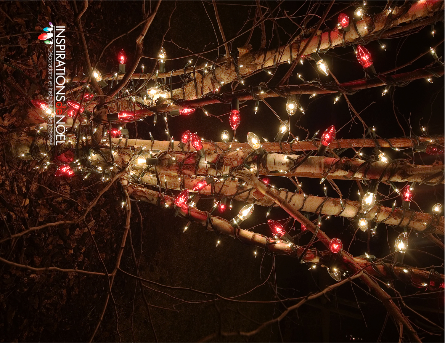 A tree with red and white christmas lights on it