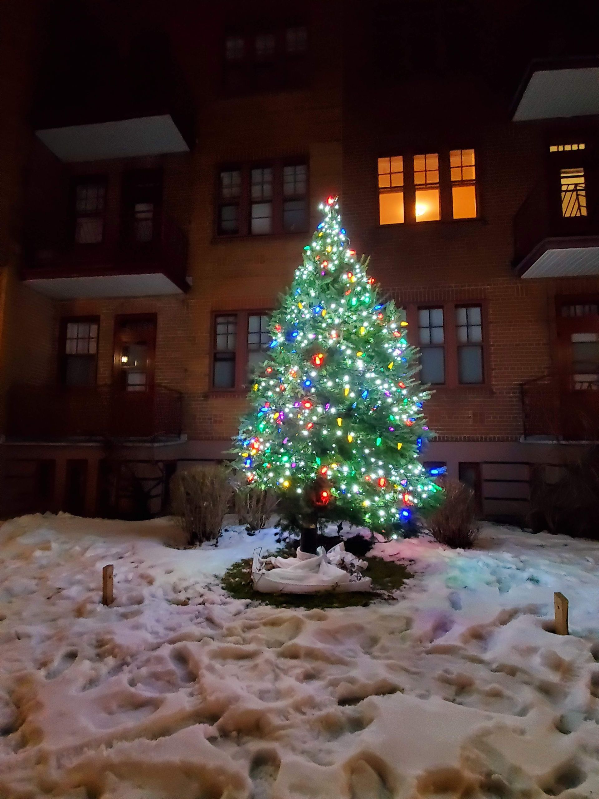 A christmas tree is lit up in front of a brick building