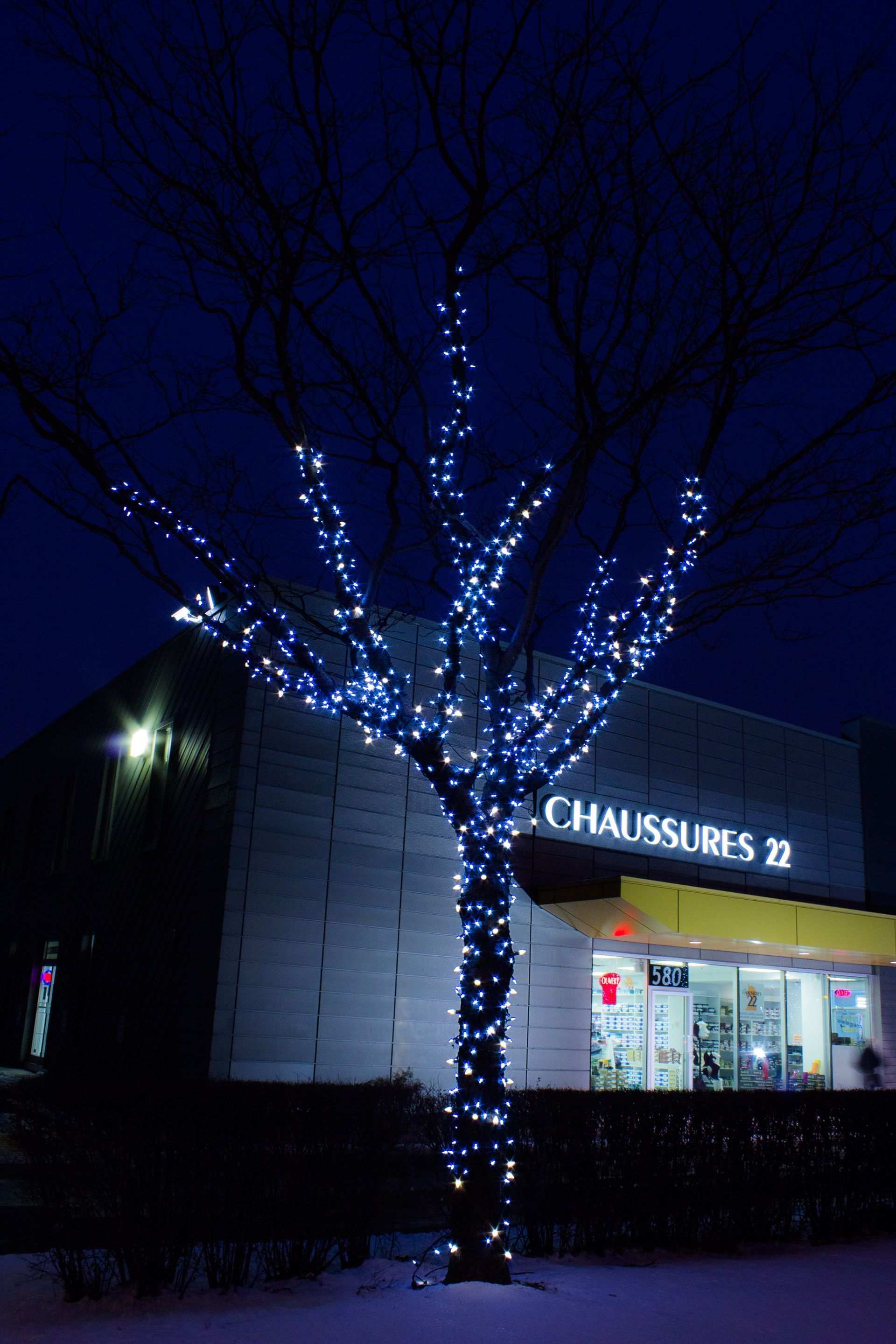 A tree is decorated with blue lights in front of a building.