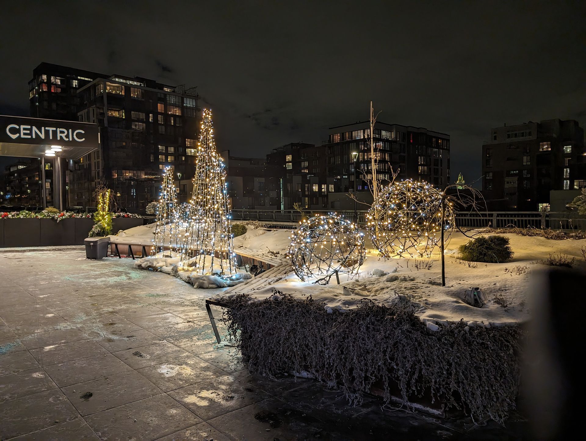 A group of christmas trees are lit up in a snowy park at night.