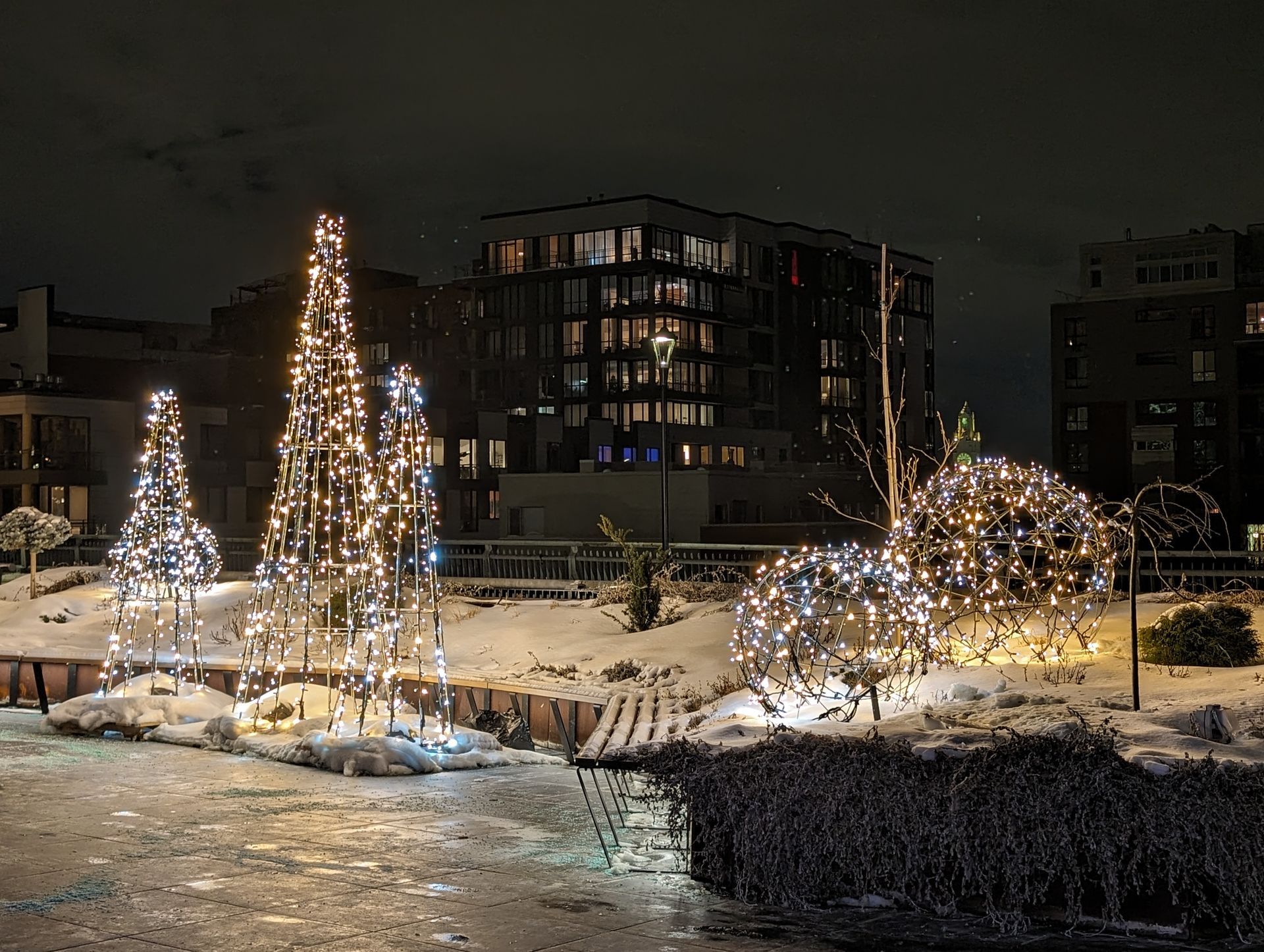 A snowy park with trees decorated with christmas lights at night.