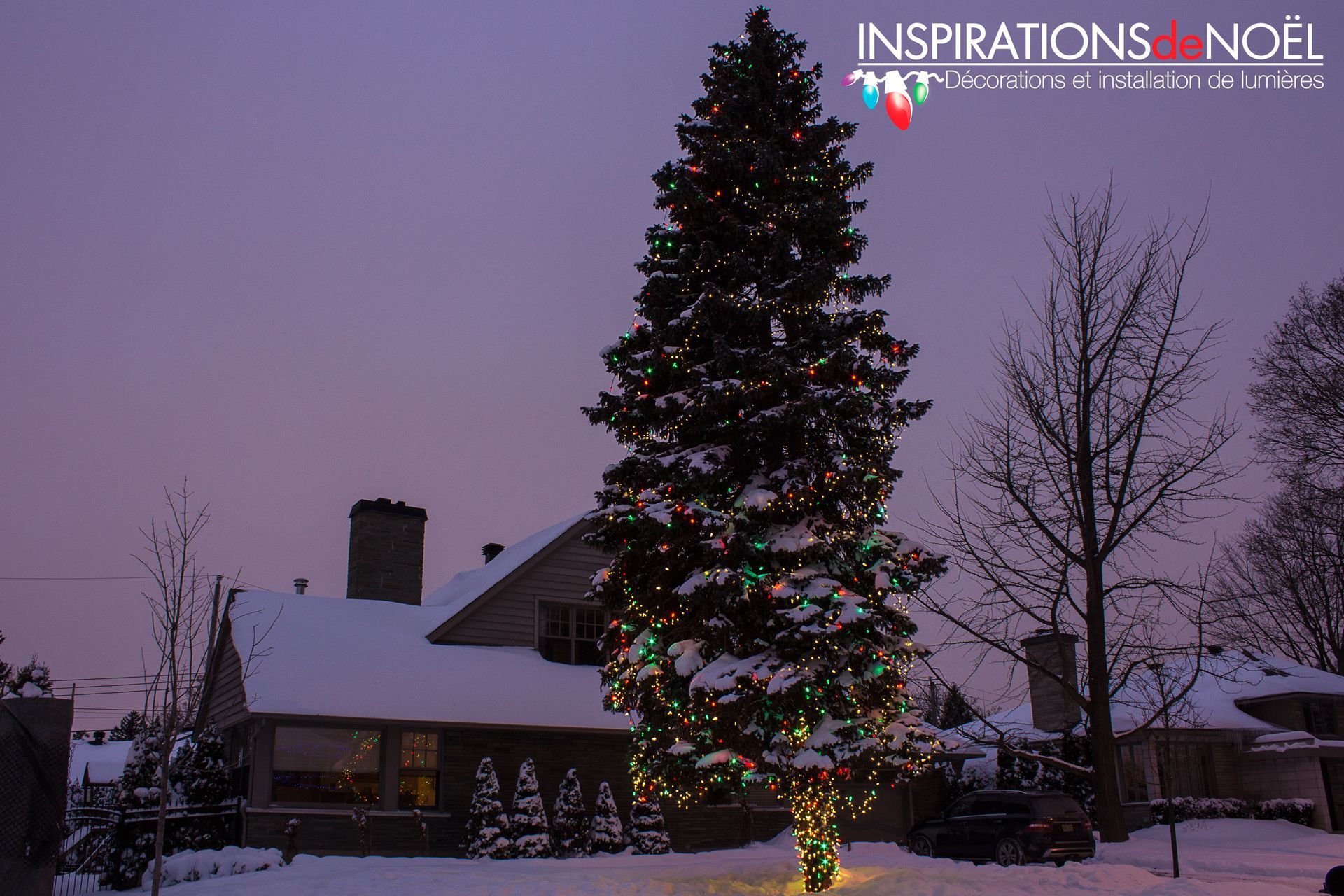 A christmas tree is lit up in front of a house