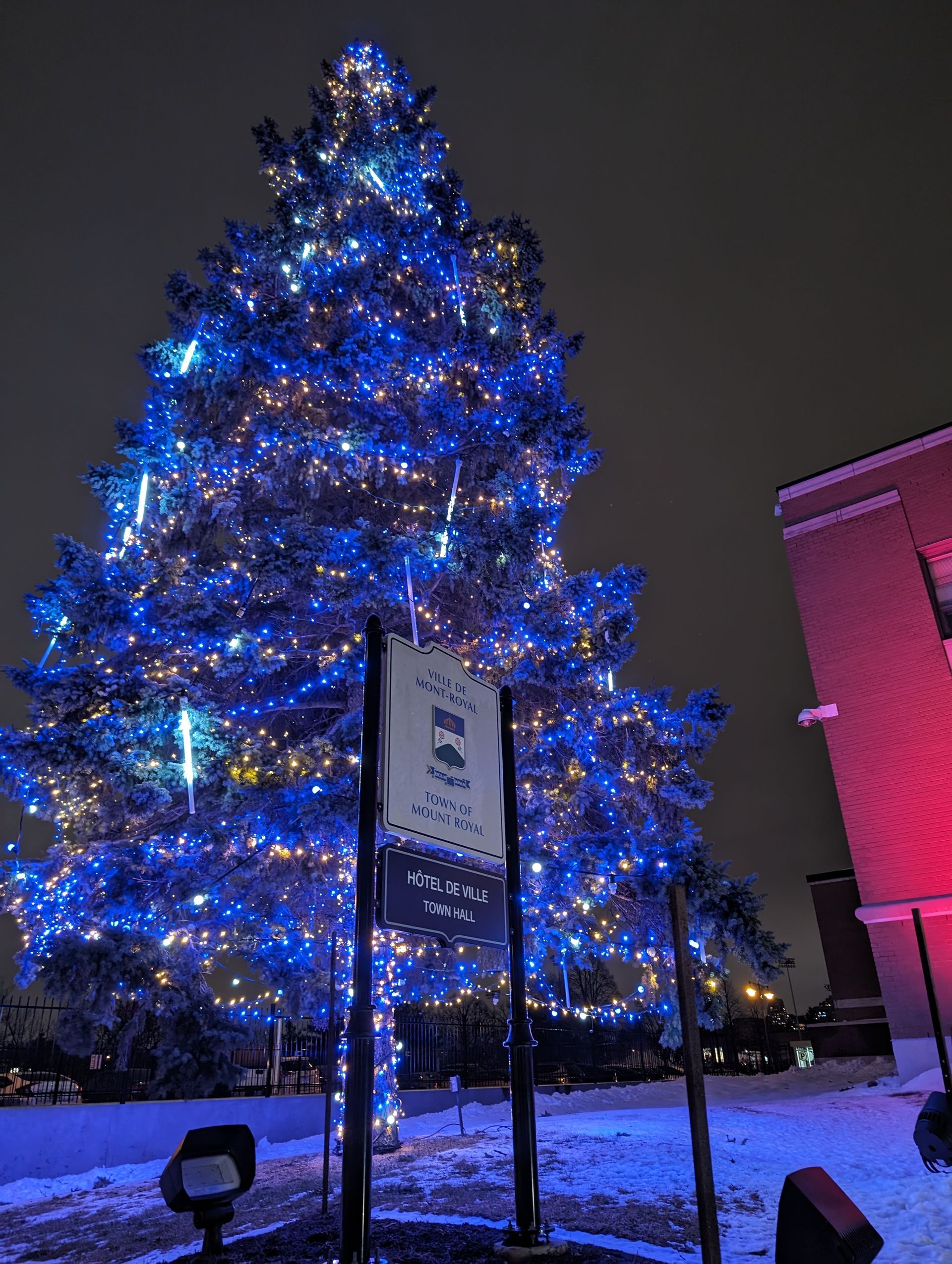 A christmas tree with blue lights and a sign that says halo