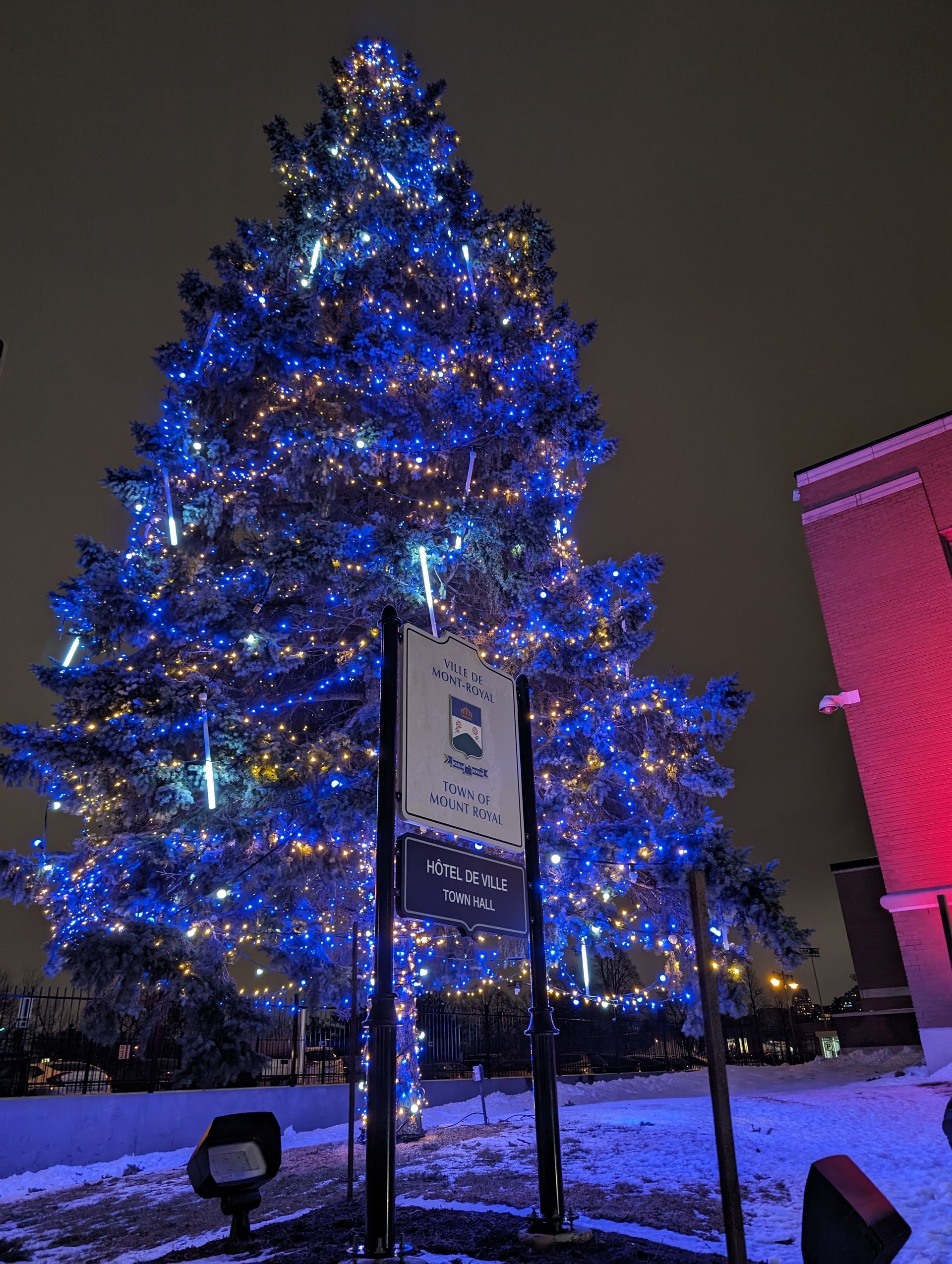 A large christmas tree is lit up with blue lights
