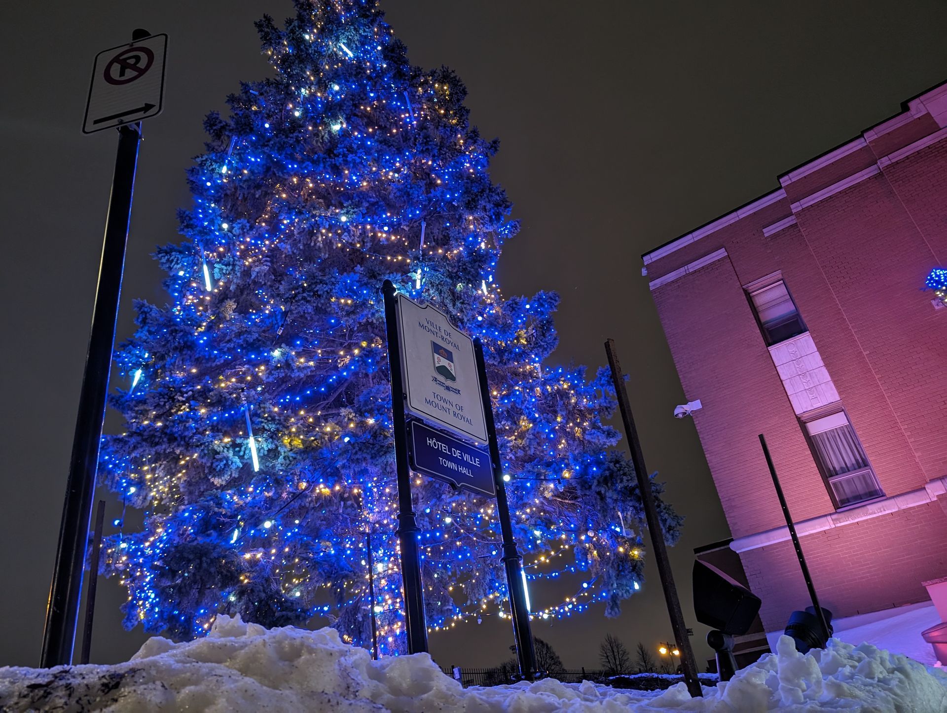 A christmas tree is lit up with blue lights in front of a building.