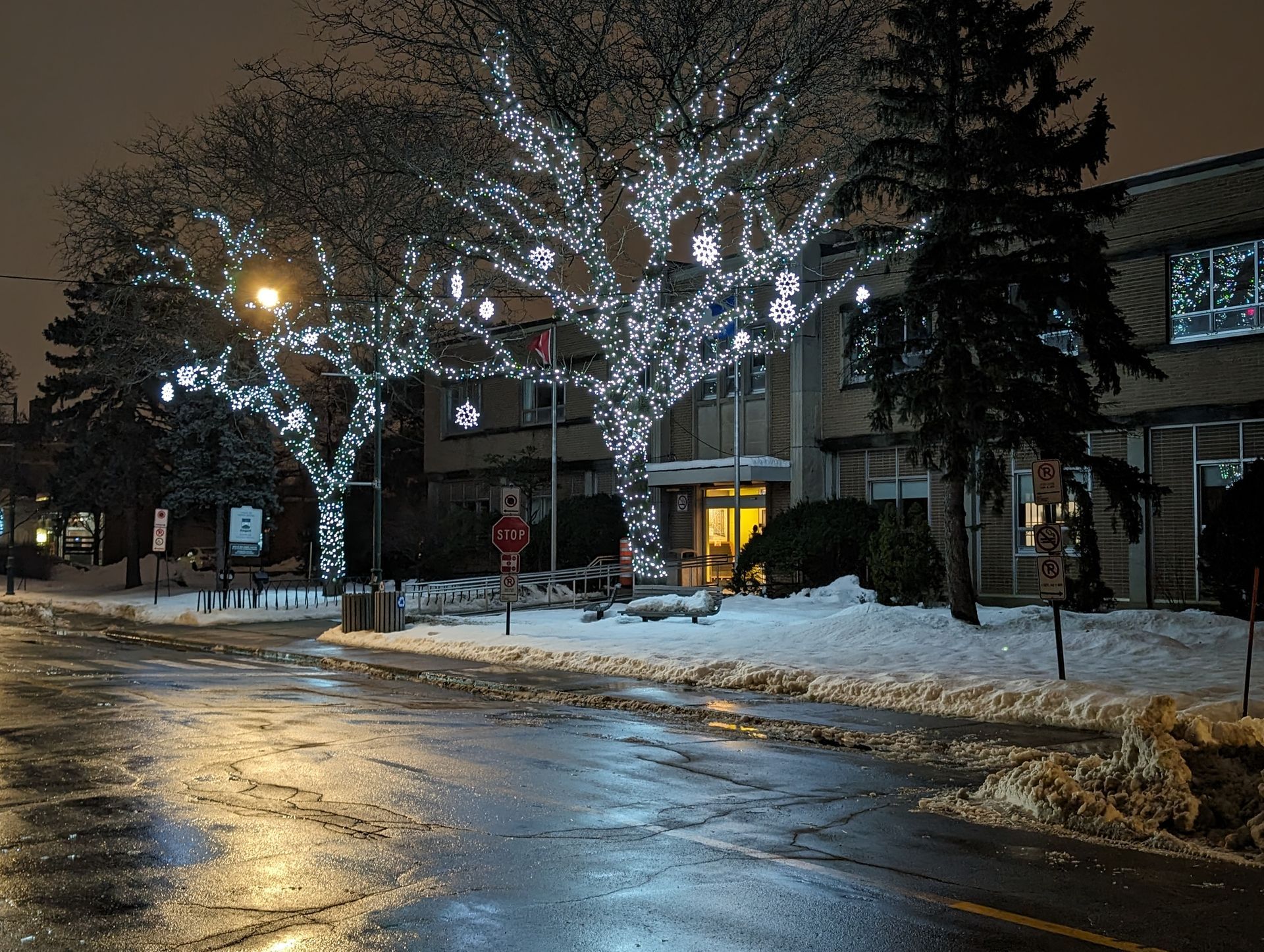 A tree with christmas lights on it in front of a building