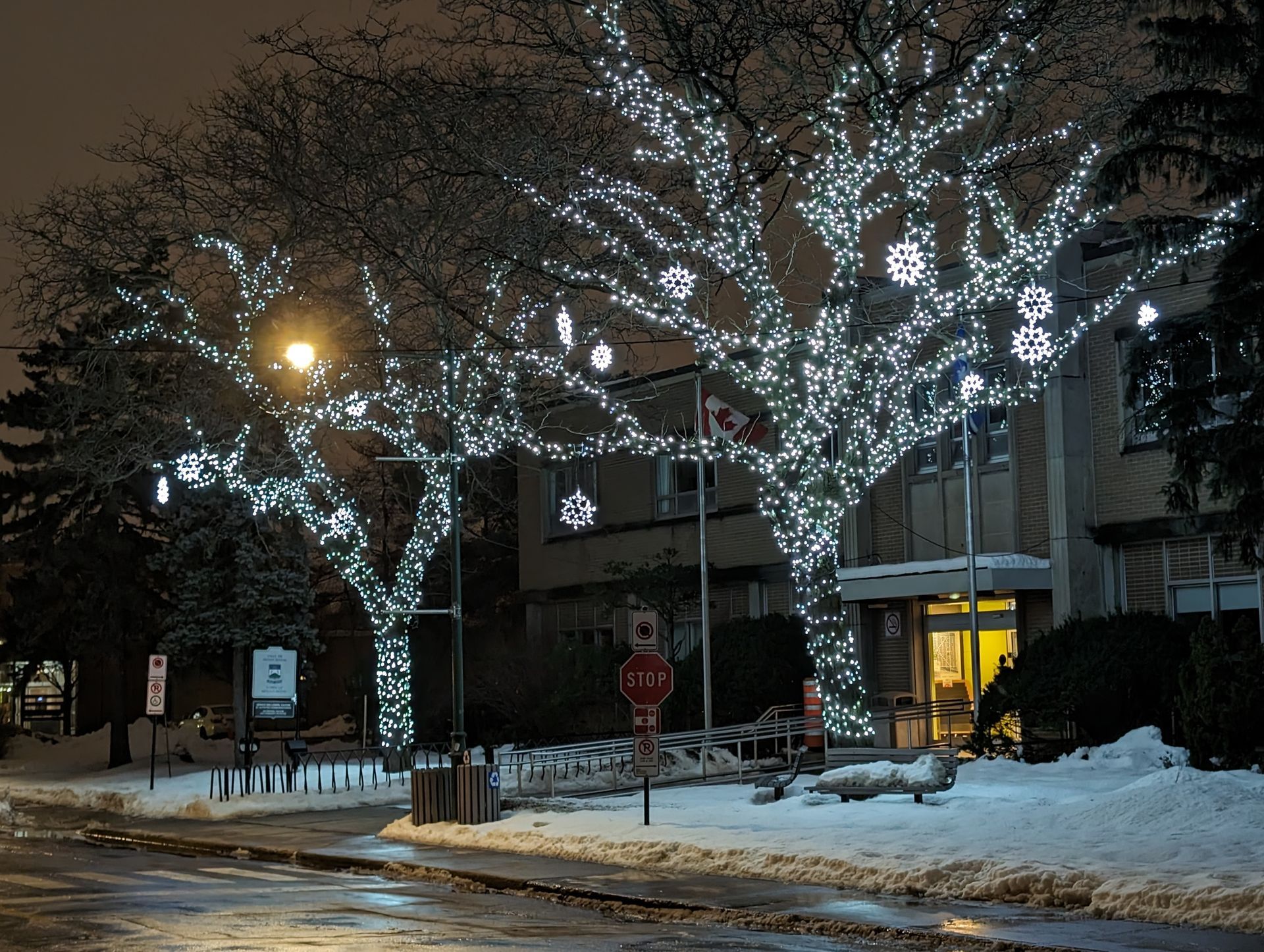 A tree with christmas lights on it in front of a building