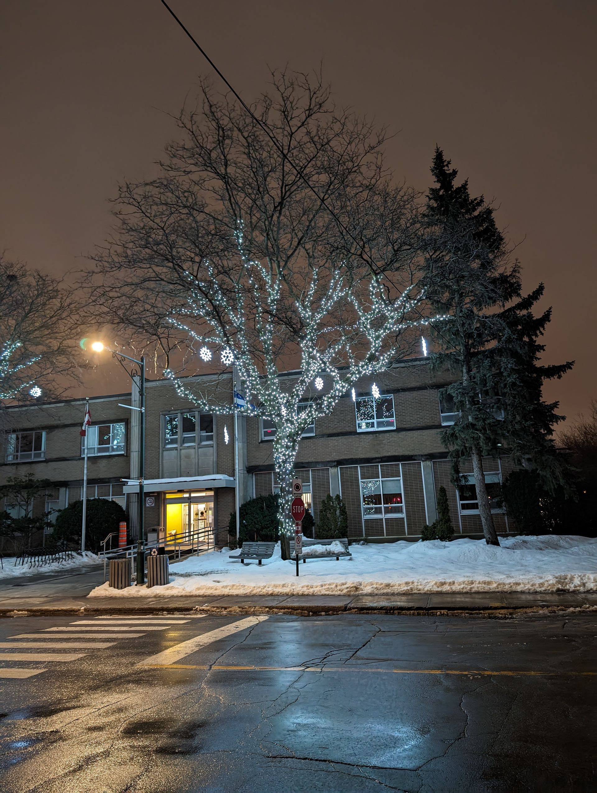 A tree with christmas lights on it is in front of a building at night.