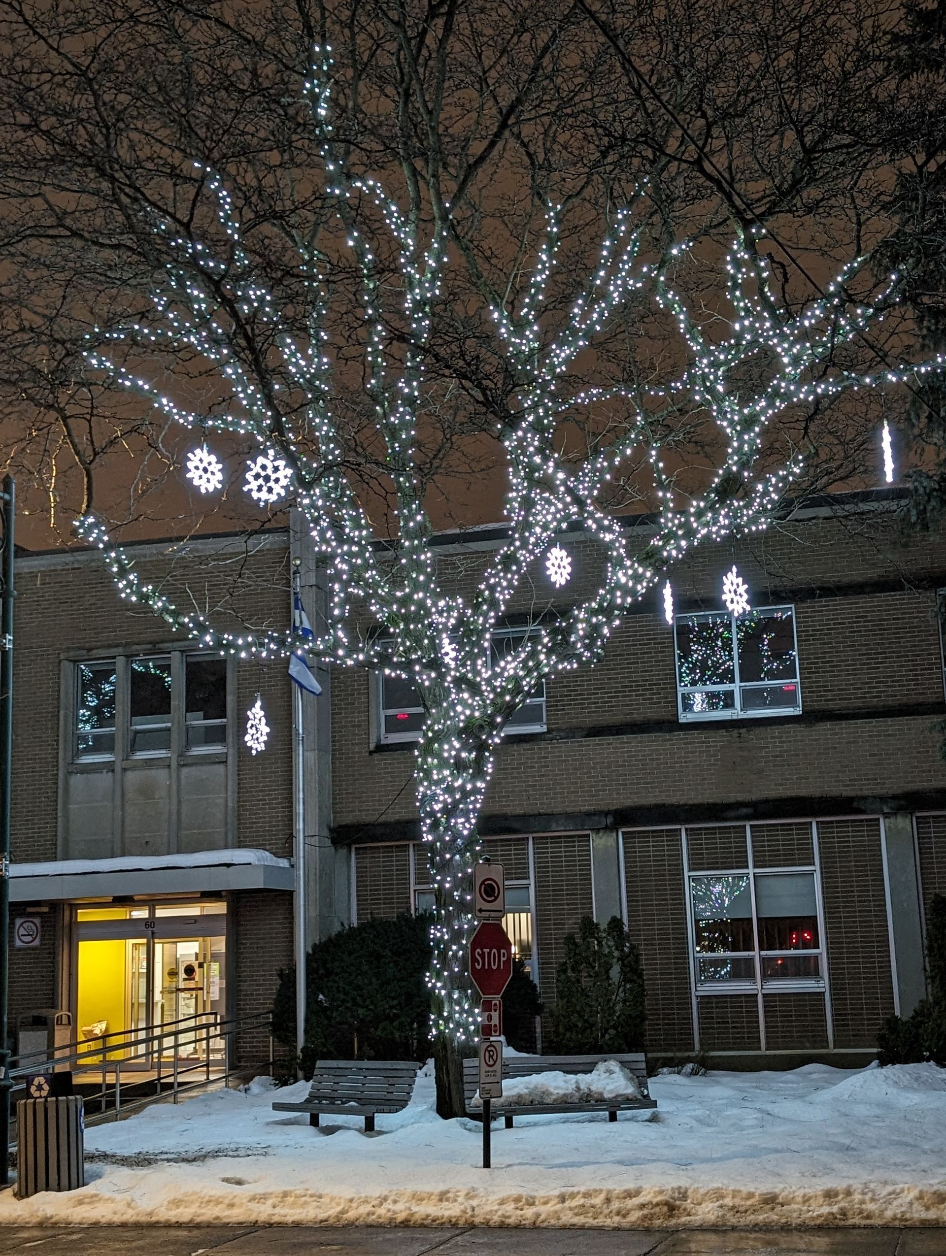 A tree is decorated with christmas lights in front of a building