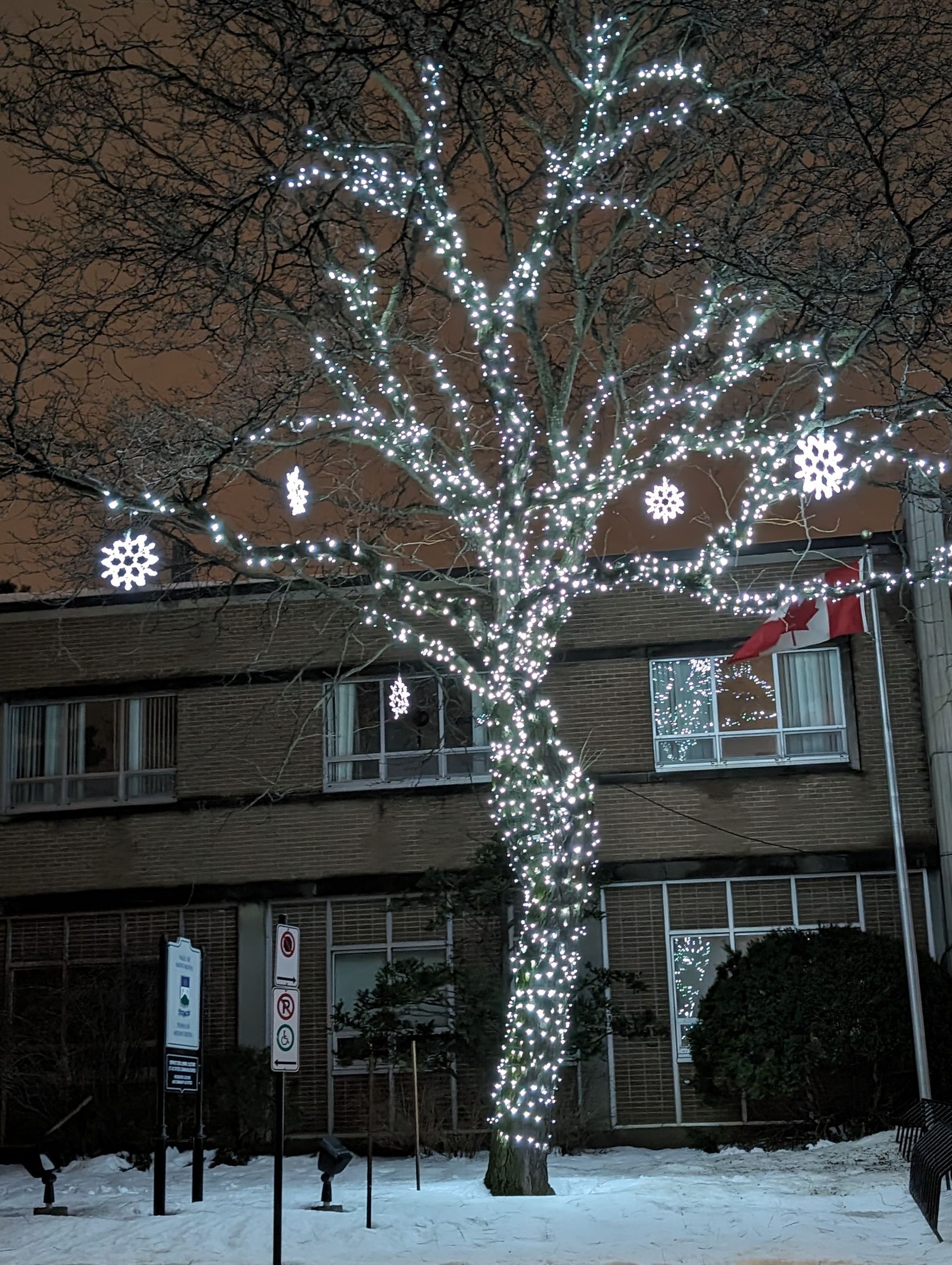 A tree is decorated with christmas lights in front of a building